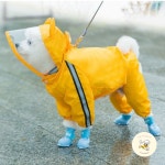 강아지 우비 방수 마우스 곰돌이 레인코트 S : 노는 개 최고양