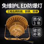 LED 방폭등 작업장 방폭램프 주유소 테니스장 터널 : 프라우드 해외배송