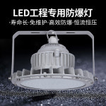 LED 방폭등 작업장 방폭램프 주유소 테니스장 터널 : 프라우드 해외배송