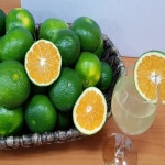 제주서귀포위미리 풋귤(청귤) 3kg,5kg,10kg : 제주장용팜