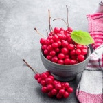 9월30일까지 사전예약행사중-26년 강원도 인제 오미자 햇오미자 10kg : 요세비 농장