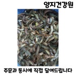 미꾸라지보양즙 60포 100ml : 양지건강원