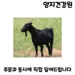 흑염소즙 70포 100ml : 양지건강원