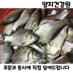 붕어즙 60포 100ml : 양지건강원
