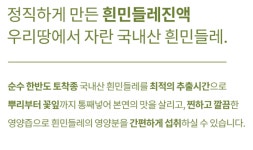 흰 민들레즙 하얀 진액 액기스 뿌리부터 꽃까지 통째 60포 : 라온몰A