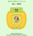 말하는 영어 한글 낱말카드 링고키트 EK01 V3 학습기+2개국 음성지원+4종 224단어 러닝리소스 : 링고키트 코리아