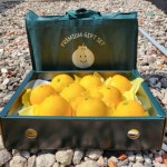 추석 과일 선물 세트 제주 황금향 3kg : 야긴과 보아스