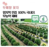 두메향 한방발효 무농약 꽃차 단품, 선물세트 : 동굴몰