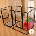 대형견 울타리 강아지 펜스 견사 야외 개 휀스 철장 특대형 100 200 120 : 노는 개 최고양