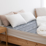 한일의료기 전기요 루돌프 싱글 1인용 전기매트 캠핑용 고급형 : 주식회사 투윙스