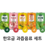 한모금 과즙 다인 알로에 복숭아 매실 제주감귤 망고 175ml 30캔 미니 캔음료 음료수 : 막스몰