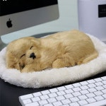 러블리펫 숨쉬는강아지 탈취인형 : 수앤서마켓5