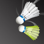 프로스펙스 야외용 나일론 셔틀콕 12개입 배드민턴공 : 하비스포츠