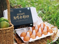 난각번호1번 오늘 산란한 자유방목 자연방사 HACCP 무항생제 유황먹인 황동유정란 : 월앙농부