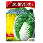 김장배추씨앗 종자 불암3호배추씨 2000립 가을 항암  : 씨앗의모든것