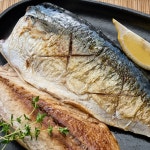 제주곱닥한갈치 손질 자반 제주 고등어살 10팩 2kg : 제주곱닥한갈치