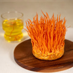 귀리 먹은 동충하초 생초 귀동초 (170g x 20통) 버섯 / 친환경 무농약 : 귀동초-귀리먹은 동충하초