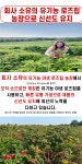 1979 폴스카로자 유기농 로즈힙 퓨레 주스 원액 3병 : 세븐엔젤