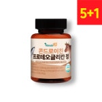 네추럴핏 콘드로이친 프로테오글리칸 정 콘트로이친 콘드라이친 콘드로이틴 5+1더 12개월 : 네이처오아시스