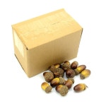 음식모형제작 저렴한 20pcs 3cm 도토리 미니 인공  폼 과일과 야채 열매 꽃 결혼식을위한 크리스마스 트리 장식 : 모던스트리트키즈
