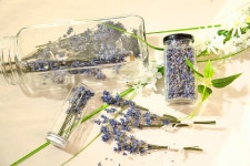 라벤더꽃차 : 감천마을꽃차