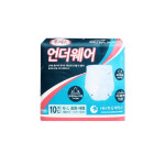 투어스 언더웨어 성인용 팬티기저귀 중대형 80매 : 주식회사 에코온