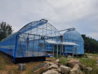 하우스용비닐 : 영남하우스