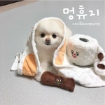 강아지 노즈워크 장난감 멍휴지 휴지노즈워크 : 집사의살림