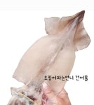 [ 반건조 오징어 5미] 안산오언니건어물  오징어파는언니 : 오징어파는언니 안산점