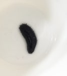 블랙해삼 : 카스리프팜