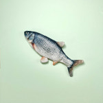 펫케어 춤추는생선 고양이용 붕어 교체용 커버 캣닢백 3개입 : 펫긱  PETGEEK