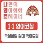온라인 영어회화 트레이닝 미스터플루언씨 : 미스터플루언씨