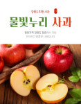 화천사과 5kg 특상품 선물용 : 화천농부들 농산물로컬카페
