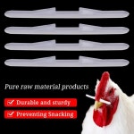 텃밭농기구 주말농장 닭코 볼트 안경 농장 장비 길이 7cm 수탉 먹는 암탉 사료 가금류 도구 10-50 개 : 스마일파파