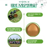 파크볼채 파크골프채 국산 : 감성더함