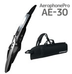 (국내배송)롤랜드 Roland 전자 색소폰 에어로폰 프로 AE30 AE-30 : 더 꿈