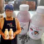 공주밤 수제요거트 이순주 무가당 알밤 요거트 500ml : 신풍애농부들