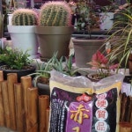 적옥토 블루베리상토 14l : 명주마켓