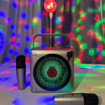 가정용 노래방 기계 노래 반주기 Miracle 코인 노래방부스 레트로 블루투스 레드 : 에디토의 선택