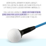 골프 스윙연습기 연습용 숏아이언 풀스윙키트 체중이동 자세 연습 소리 : 판다링