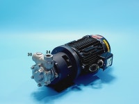 니쿠니 펌프 3마력 3상220V NIKUNI 25NLMS22ZEM1 T16 2.2KW : 상진FA