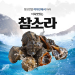 벌교역전꼬막 제철 벌교 참소라 1KG (8~10 미) : 벌교역전꼬막