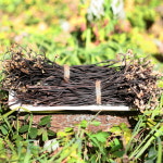 국산 지리산 고사리 불린고사리 건고사리 고비 건고비 : 온유네 나물