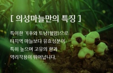 흑마늘 진액골드 60mlX30포 선물세트 어버이날 선물 의성명품 직장회사직원 추석설날명절 : 발효커피