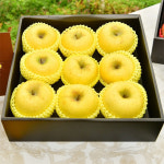 [삼서농협] 시나노골드 3.5kg 5kg (9/18일 일괄출고) : 농협NH팜 스토어