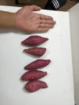 호박밤고구마(수호농장)(하), 10KG : 부산 그린