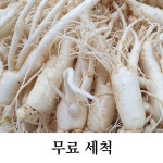 수삼랜드121호 | 가정용 7-8뿌리 내외 난발삼 750g 무료세척 : 금산수삼랜드