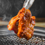서락비 초벌 숯불 닭갈비 순살 춘천 택배 캠핑요리 1kg : 설악막국수춘천닭갈비