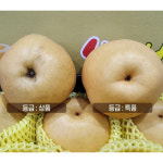 천안 성환배 7.5kg(8-12과) 제철과일 추석 명절 설날 : Endymion