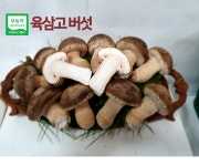 [온유네농장] 육삼고버섯 유기농 건강 영양버섯 1kg  특상품 프리미엄 선물세트 명절선물 송화버섯 : 바인코리아